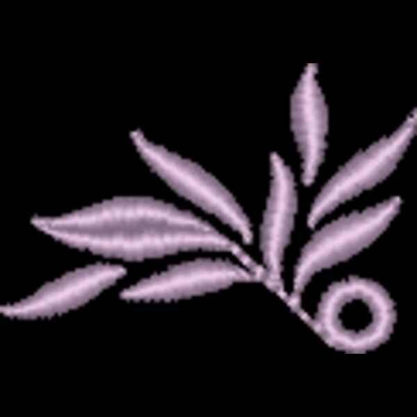 NZ794 Thumbnail