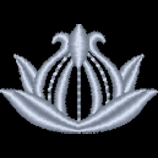 NZ800 Thumbnail