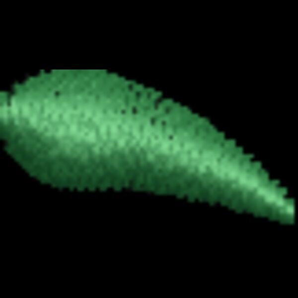 FP419 Thumbnail