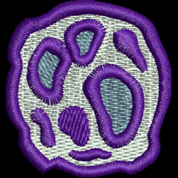CI958 Thumbnail